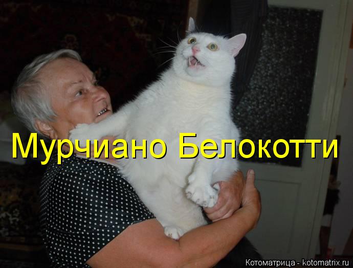 Котоматрица: Мурчиано Белокотти