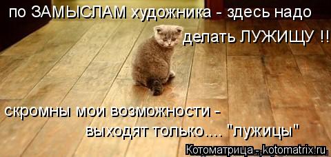Котоматрица: по ЗАМЫСЛАМ художника - здесь надо делать ЛУЖИЩУ !!!  скромны мои возможности -  выходят только.... "лужицы"