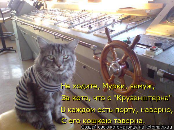 В каждом есть порту, наверно, С его кошкою таверна. За кота, что с "Крузенштерна" Не ходите, Мурки, з... Котоматрица: В каждом есть порту, наверно, С его кошкою таверна. За кота, что с "Крузенштерна" Не ходите, Мурки, замуж,