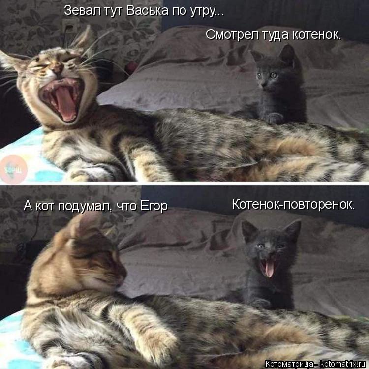 Котоматрица: Зевал тут Васька по утру... Смотрел туда котенок. А кот подумал, что Егор Котенок-повторенок.