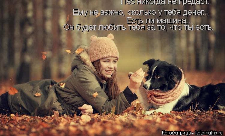 Котоматрица: Пес никогда не предаст. Ему не важно, сколько у тебя денег... Есть ли машина... Он будет любить тебя за то, что ты есть.