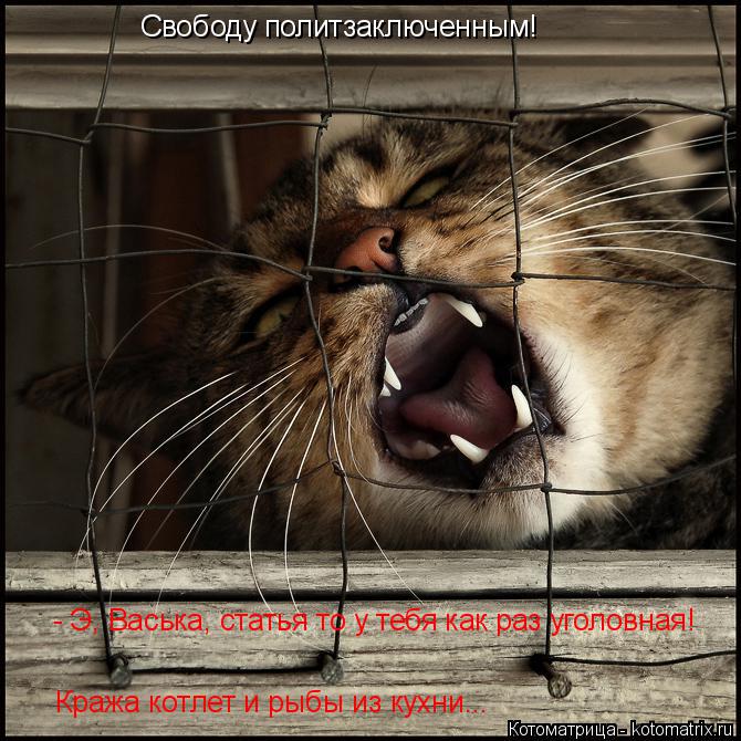 Котоматрица: Свободу политзаключенным! - Э, Васька, статья то у тебя как раз уголовная! Кража котлет и рыбы из кухни...