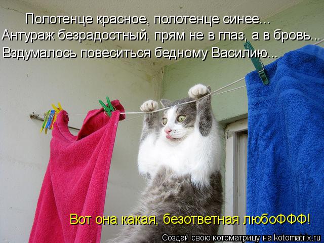 Котоматрица: Полотенце красное, полотенце синее... Антураж безрадостный, прям не в глаз, а в бровь... Вздумалось повеситься бедному Василию... Вот она какая