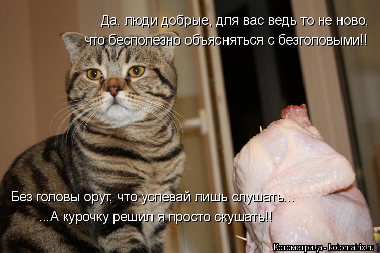 Котоматрица: Да, люди добрые, для вас ведь то не ново, что бесполезно объясняться с безголовыми!! Без головы орут, что успевай лишь слушать... ...А курочку ре