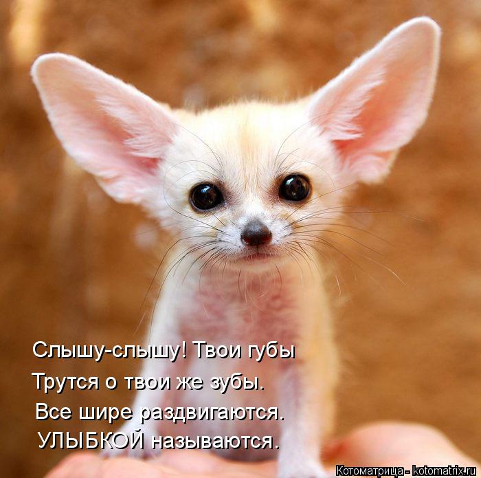 Котоматрица: Слышу-слышу! Твои губы Трутся о твои же зубы. Все шире раздвигаются. УЛЫБКОЙ называются.