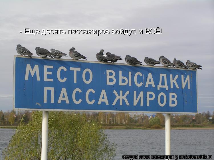 Котоматрица: - Еще десять пассажиров войдут, и ВСЁ!