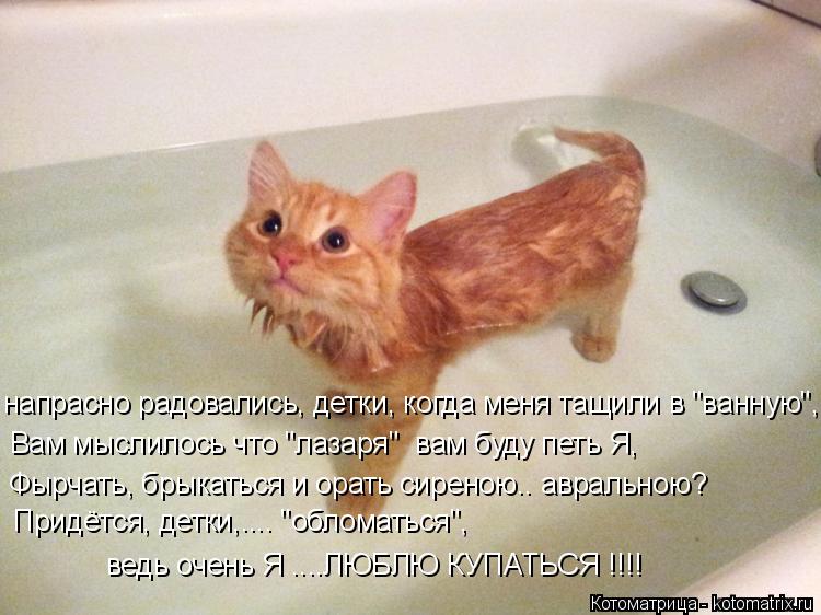 Котоматрица: напрасно радовались, детки, когда меня тащили в "ванную", Вам мыслилось что "лазаря"  вам буду петь Я, Придётся, детки,.... "обломаться",  ведь оче