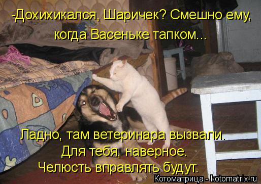 -Дохихикался, Шаричек? Смешно ему, когда Васеньке тапком... Ладно, там ветеринара вызвали. Для тебя,... Котоматрица: -Дохихикался, Шаричек? Смешно ему, когда Васеньке тапком... Ладно, там ветеринара вызвали. Для тебя, наверное. Челюсть вправлять будут.