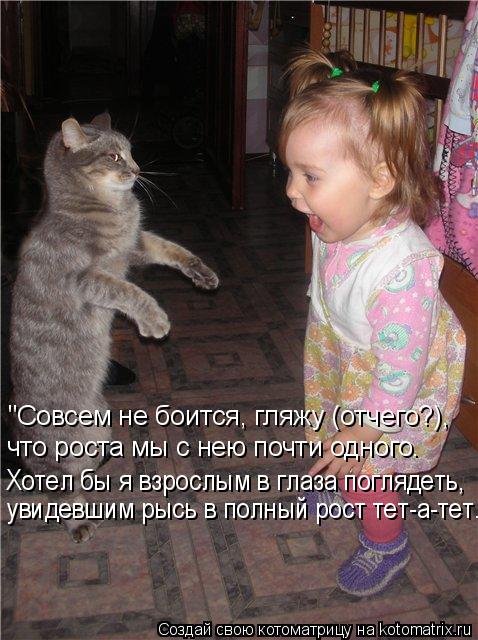Котоматрица: увидевшим рысь в полный рост тет-а-тет." Хотел бы я взрослым в глаза поглядеть, что роста мы с нею почти одного. "Совсем не боится, гляжу (отчег