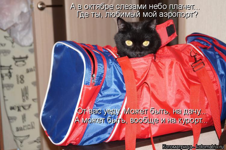 Котоматрица: А в октябре слезами небо плачет... От вас уеду. Может быть, на дачу... А может быть, вообще и на курорт... Где ты, любимый мой аэропорт?