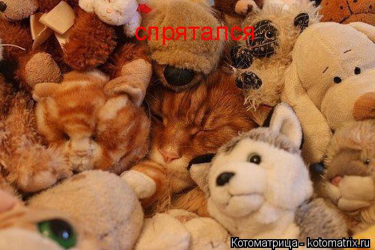 спрятался... Котоматрица: спрятался