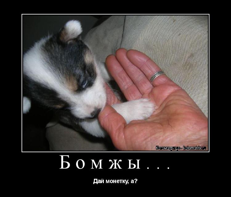 Бомжы... Дай монетку, а?... Котоматрица: Бомжы... Дай монетку, а?