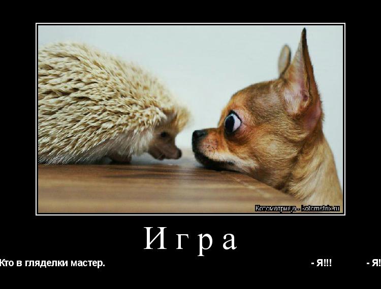 Котоматрица: Игра - Кто в гляделки мастер.                                                                               - Я!!!             - Я!!!