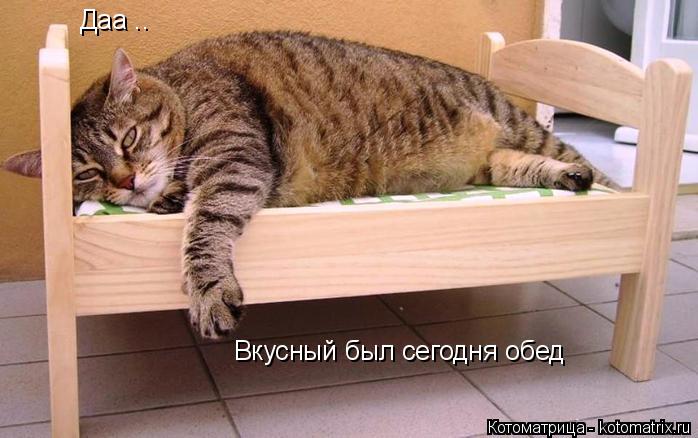 Котоматрица: Даа .. Вкусный был сегодня обед