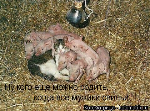 Ну кого еще можно родить, когда все мужики свиньи...... Котоматрица: Ну кого еще можно родить, когда все мужики свиньи...