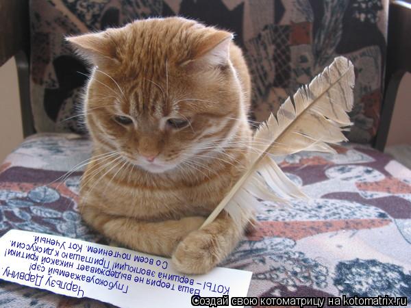 Котоматрица: Чарльзу Дарвину. Глубокоуважаемый сэр! Ваша теория не выдерживает никакой критики! Со всем почтением. Кот Ученый. КОТЫ – вершина эволюции! 