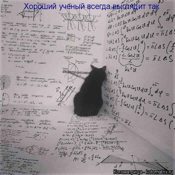 Котоматрица: Хороший учёный всегда выглядит так