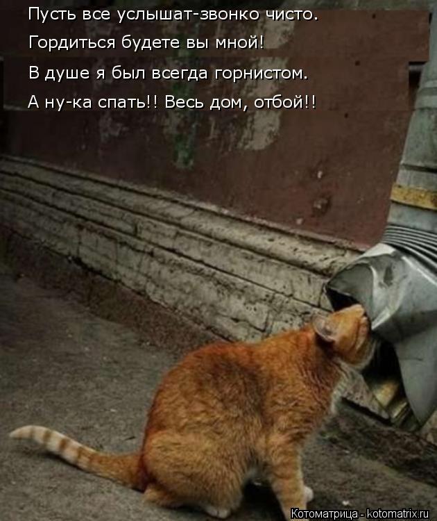 Гордиться будете вы мной! В душе я был всегда горнистом. Пусть все услышат-звонко чисто. А ну-ка спат... Котоматрица: Гордиться будете вы мной! В душе я был всегда горнистом. Пусть все услышат-звонко чисто. А ну-ка спать!! Весь дом, отбой!!