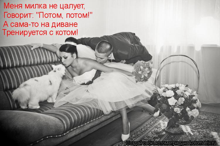 Меня милка не цалует, А сама-то на диване Говорит: "Потом, потом!" Тренируется с котом!... Котоматрица: Меня милка не цалует, А сама-то на диване Говорит: "Потом, потом!" Тренируется с котом!