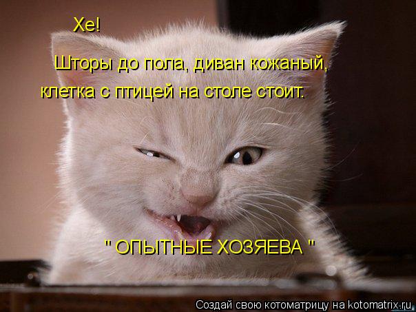 Хе! Шторы до пола, диван кожаный, клетка с птицей на столе стоит. " ОПЫТНЫЕ ХОЗЯЕВА "... Котоматрица: Хе! Шторы до пола, диван кожаный, клетка с птицей на столе стоит. " ОПЫТНЫЕ ХОЗЯЕВА "