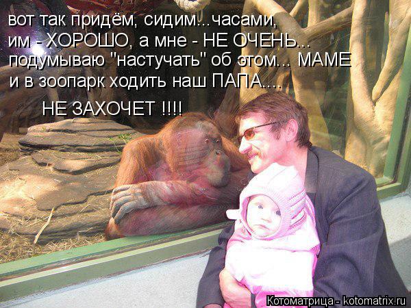 вот так придём, сидим...часами, им - ХОРОШО, а мне - НЕ ОЧЕНЬ... подумываю "настучать" об этом... МАМ... Котоматрица: вот так придём, сидим...часами, им - ХОРОШО, а мне - НЕ ОЧЕНЬ... подумываю "настучать" об этом... МАМЕ и в зоопарк ходить наш ПАПА.... НЕ ЗАХОЧЕТ !!!!