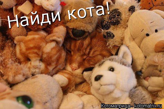Найди кота!... Котоматрица: Найди кота!