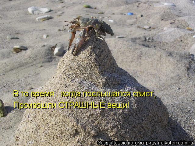 В то время , когда послышался свист Произошли СТРАШНЫЕ вещи! ,... Котоматрица: В то время , когда послышался свист Произошли СТРАШНЫЕ вещи! ,