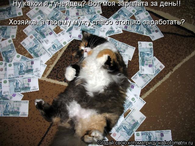 Хозяйка, а твоему мужу слабо столько заработать? Ну какой я тунеядец? Вот моя зарплата за день!!... Котоматрица: Хозяйка, а твоему мужу слабо столько заработать? Ну какой я тунеядец? Вот моя зарплата за день!!