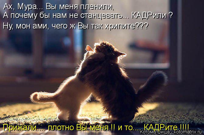 Ах, Мура... Вы меня пленили, А почему бы нам не станцевать... КАДРили ? Ну, мон ами, чего ж Вы так х... Котоматрица: Ах, Мура... Вы меня пленили, А почему бы нам не станцевать... КАДРили ? Ну, мон ами, чего ж Вы так хрипите??? Прижали.... плотно Вы меня !! и то.... КАДР