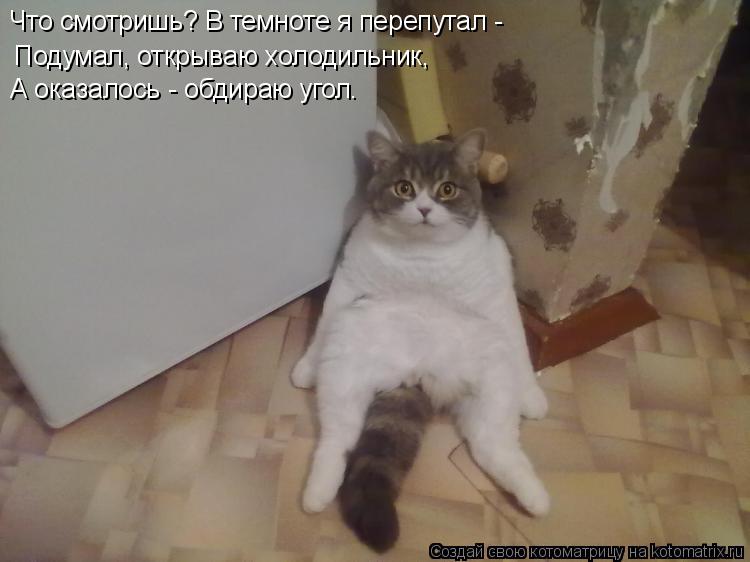 Котоматрица: Что смотришь? В темноте я перепутал - Подумал, открываю холодильник, А оказалось - обдираю угол.