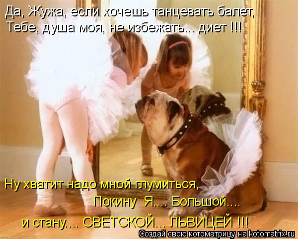 Котоматрица: Да, Жужа, если хочешь танцевать балет, Тебе, душа моя, не избежать... диет !!! Ну хватит надо мной глумиться, Покину  Я.... Большой.... и стану.... СВЕ