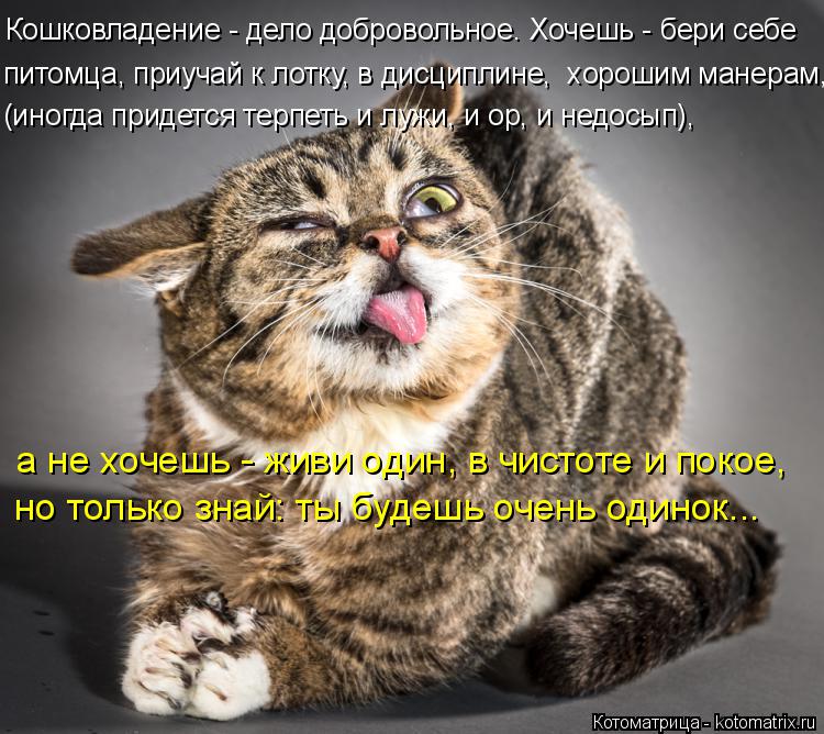 Кошковладение - дело добровольное. Хочешь - бери себе питомца, приучай к лотку, в дисциплине, хороши... Котоматрица: Кошковладение - дело добровольное. Хочешь - бери себе питомца, приучай к лотку, в дисциплине, хорошим манерам, (иногда придется терпеть и лу