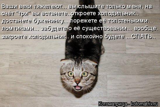 Котоматрица: Ваши веки тяжелеют... вы слышите только меня, на счёт "три" вы встанете..откроете холодильник.. достанете буженинку... порежете её толстеньким