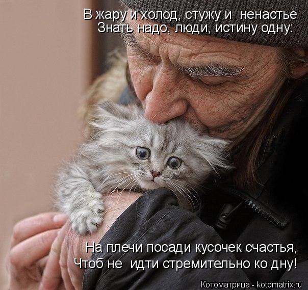 Котоматрица: В жару и холод, стужу и  ненастье Знать надо, люди, истину одну: На плечи посади кусочек счастья,  Чтоб не  идти стремительно ко дну!