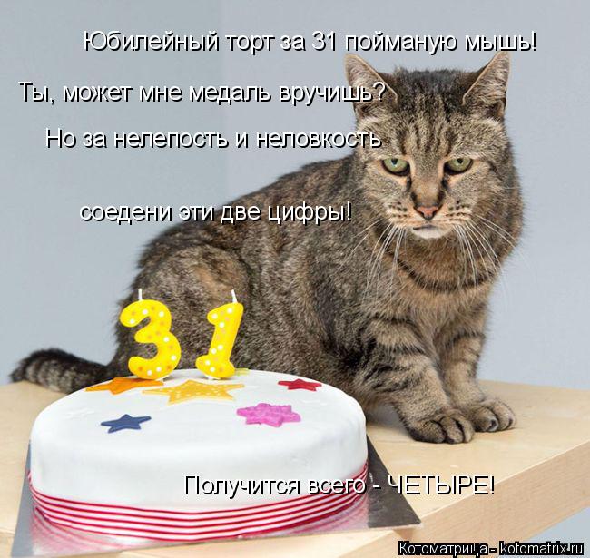 Юбилейный торт за 31 пойманую мышь! Ты, может мне медаль вручишь? Но за нелепость и неловкость соеден... Котоматрица: Юбилейный торт за 31 пойманую мышь! Ты, может мне медаль вручишь? Но за нелепость и неловкость соедени эти две цифры! Получится всего - ЧЕТЫРЕ!