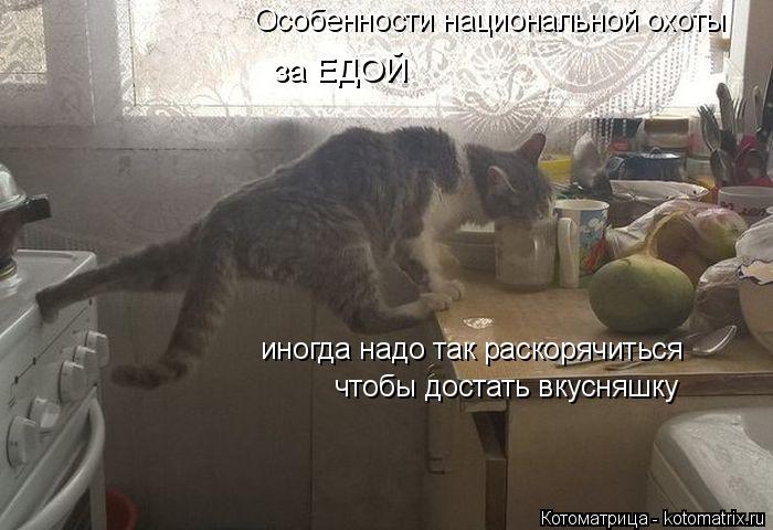 Особенности национальной охоты за ЕДОЙ иногда надо так раскорячиться чтобы достать вкусняшку... Котоматрица: Особенности национальной охоты за ЕДОЙ иногда надо так раскорячиться чтобы достать вкусняшку