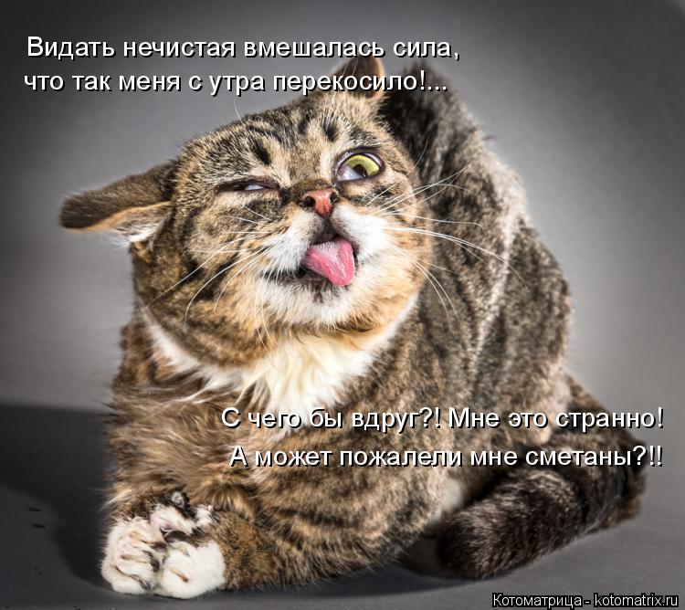 Видать нечистая вмешалась сила, что так меня с утра перекосило!... С чего бы вдруг?! Мне это странно!... Котоматрица: Видать нечистая вмешалась сила, что так меня с утра перекосило!... С чего бы вдруг?! Мне это странно! А может пожалели мне сметаны?!!