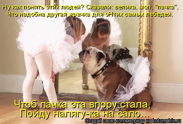 Котоматрица: Что надобна другая жрачка для эНтих самых лебедей. Чтоб пачка эта впору стала, Пойду налягу-ка на сало... Ну как понять этих людей? Сказали: ве