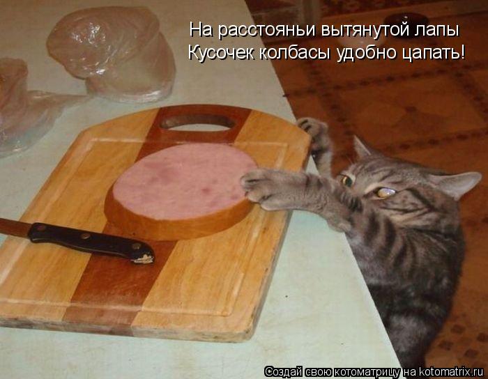Котоматрица: На расстояньи вытянутой лапы Кусочек колбасы удобно цапать!