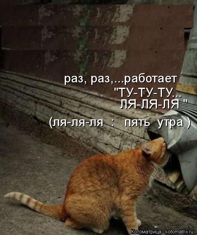 Котоматрица: раз, раз,...работает "ТУ-ТУ-ТУ... ЛЯ-ЛЯ-ЛЯ " (ля-ля-ля  :   пять  утра )