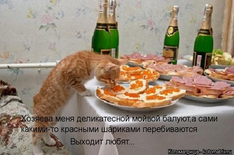 Котоматрица: Хозяева меня деликатесной мойвой балуют,а сами какими-то красными шариками перебиваются Выходит любят...