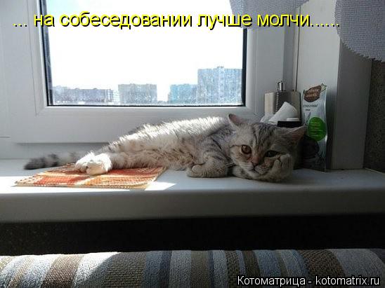 Котоматрица: ... на собеседовании лучше молчи......
