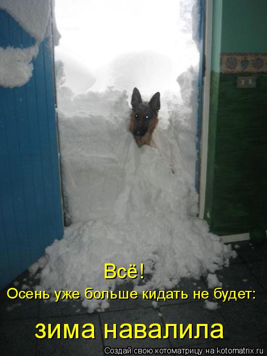 Котоматрица: Всё! Осень уже больше кидать не будет: зима навалила