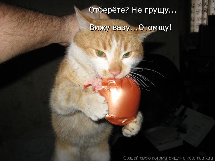 Котоматрица: Отберёте? Не грущу... Вижу вазу...Отомщу!
