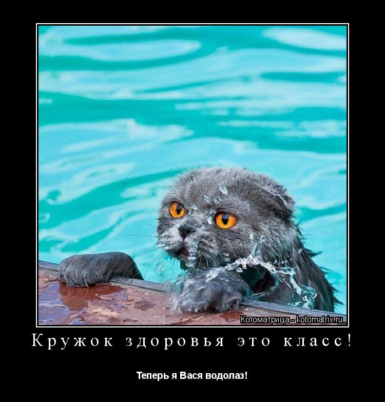 Котоматрица: Кружок здоровья это класс! Теперь я Вася водолаз!
