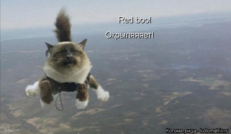 Котоматрица: Red bool Окрыляяяет!
