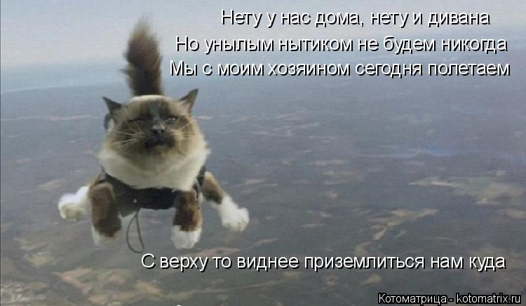 Котоматрица: Нету у нас дома, нету и дивана Но унылым нытиком не будем никогда Мы с моим хозяином сегодня полетаем С верху то виднее приземлиться нам куд