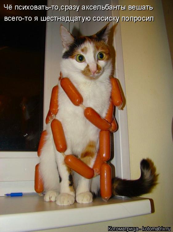 Котоматрица: Чё психовать-то,сразу аксельбанты вешать всего-то я шестнадцатую сосиску попросил