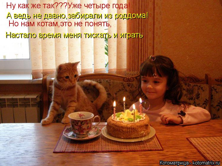 Котоматрица: Ну как же так???Уже четыре года! А ведь не давно,забирали из роддома! Но нам котам,это не понять, Настало время меня тискать и играть