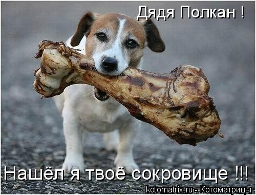 Котоматрица: Дядя Полкан ! Нашёл я твоё сокровище !!!